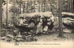 VINTAGE POSTCARD Drill De Fontainebleau the Elephant Elephant Falls of Apremont