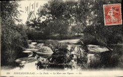 CPA Fontainebleau La Foret La Mare Aux Pigeons