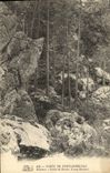 CPA Foret De Fontainebleau Rochers Enfer De Dante Long rocher