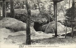 CPA Foret De Fontainebleau Caverne Des Brigands