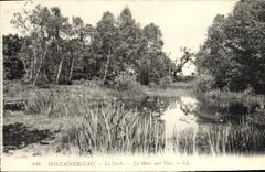 CPA Fontainebleau La Foret La Mare Aux Fees