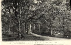 VINTAGE POSTCARD Fontainebleau the Drill the Crossroads Of the Eyrie