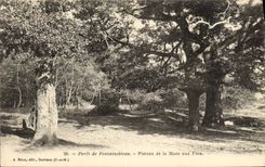 VINTAGE POSTCARD Drill De Fontainebleau Plate Of the Pond To the Fairies