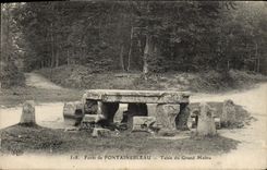 CPA Foret De Fontainebleau Table Du Grand Maitre