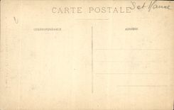 CPA Foret De Fontainebleau Le Jupiter Arhre