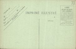 VINTAGE POSTCARD Palate De Fontainebleau Lady of pleasure