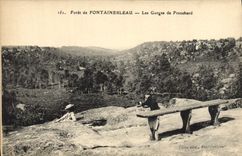 VINTAGE POSTCARD Drill De Fontainebleau the Falls De Franchard