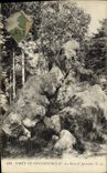 CPA Foret De Fontainebleau La Dame D'Apremont
