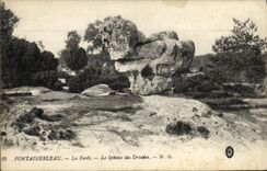 CPA Fontainebleau La Foret Le Sphinx Des Druides