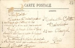 CPA Fontainebleau La Foret Le Sphinx Des Druides