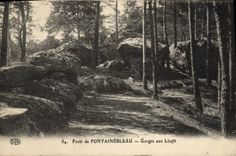 CPA Foret De Fontainebleau Gorges Aux Loups