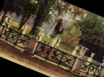 VINTAGE POSTCARD Palate De Fontainebleau the Fountain of the garden of Diane