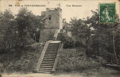 CPA Foret De Fontainebleau Tour Denecourt