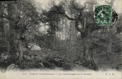 CPA Foret De Fontainebleau Le Charlemagne Et Le Roland