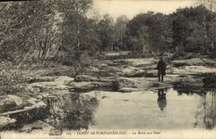 CPA Foret De Fontainebleau La Mare Aux Fees