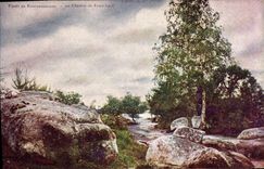 VINTAGE POSTCARD Drill De Fontainebleau the Way De Franchard