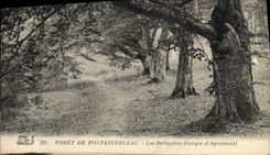 VINTAGE POSTCARD Drill De Fontainebleau Belleydier Falls of Apremont