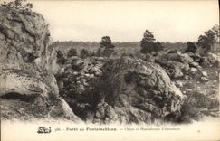 CPA Foret De Fontainebleau Chaos Et Mastodontes d'Apremont