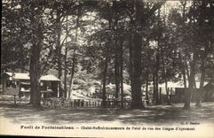 CPA Forte De Fontainebleau Chalet Raffraichissements Du Point De Vue Des Gorges D'Apremont