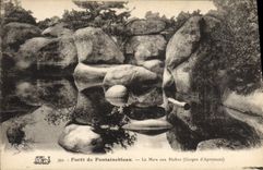 CPA Foret De Fontainebleau La Mare Aux Biches Gorges d'Apremont 