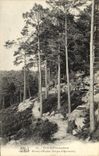 CPA Foret De Fontainebleau Sentier d'Orphee Gorges d'Apremont
