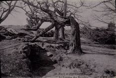 CPA Foret De Fontainebleau La Fontaine Des Hermites Ermites