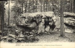 CPA Foret De Fontainebleau L'Elephant Elephant Gorges d'Apremont 