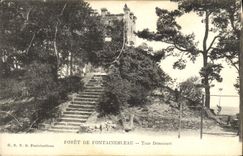 CPA Foret De Fontainebleau Tour Denecourt