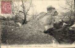 VINTAGE POSTCARD Fontainebleau the Drill Acute Mount the Head Of Monkey