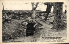 CPA Foret De Fontainebleau La Fontaine Des Hermites