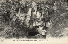 VINTAGE POSTCARD Drill De Fontainebleau Maria Fountain
