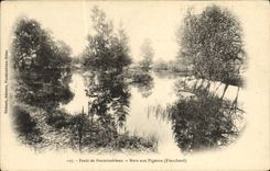 VINTAGE POSTCARD Drill De Fontainebleau Pond With the Franchard Pigeons
