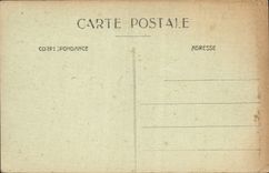 CPA Les Carpes De Fontainebleau Poissons 