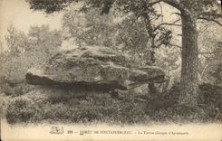 CPA Foret De Fontainebleau La Tortue Gorges d'Apremont