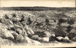 CPA Fontainebleau La Foret Gorges d'Apremont