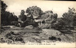CPA Fontainebleau La Foret Le Sphinx Des Druides