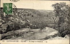 CPA Fontainebleau La Foret Les Gorges De Franchard