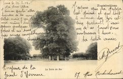 VINTAGE POSTCARD Palate of Fontainebleau the Table of the King