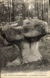 CPA Foret de Fontainebleau Le Champignon D'Apremont