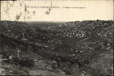 CPA Foret de Fontainebleau Gorges de Franchard