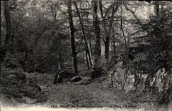 CPA Foret De Fontainebleau La Gorge Aux Loups
