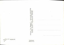 MODERN CARD Panorama Of the Vosges Neufchateau Bussang See Chenu Domremy Contrexeville Vittel