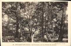 VINTAGE POSTCARD Arcy on Cure Tarrasses seen of the Entry of the Caves
