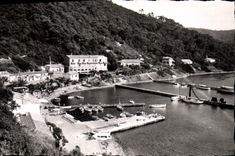 CPM lle de Port Cros Vue generale du Village et le Port 