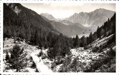 CPM St Martin Vesubie La Route du Boreon 