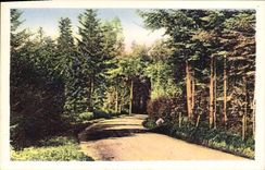 MODERN CARD St Nizier d' Azergues Entered of the Wood of Favardy