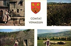CPM Comtat Venaissin Plant de lavande Bergere et son troupeau