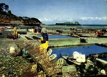 CPM Couleurs Et Lumiere De France Cancale Le Parc A Huitres Et Le Rocher De Cancale ostreiculture 