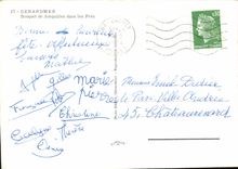 MODERN CARD Gerardmer Bouquet Of Jonquils In Close Flowers