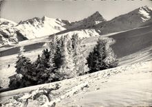 CPM Courchevel Les Pistes De La Loze Et Du Biolley Dans Le Fond l'aiguille du fruit 
